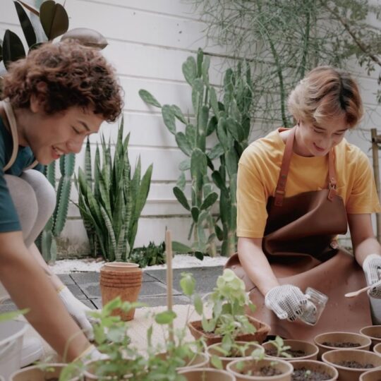 Zwei junge Menschen topfen verschiedene Pflanzen um.