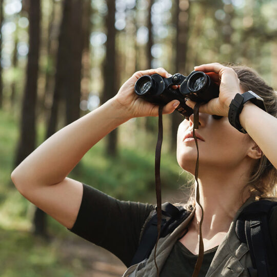 Junge Frau mit Fernglas im Wald.