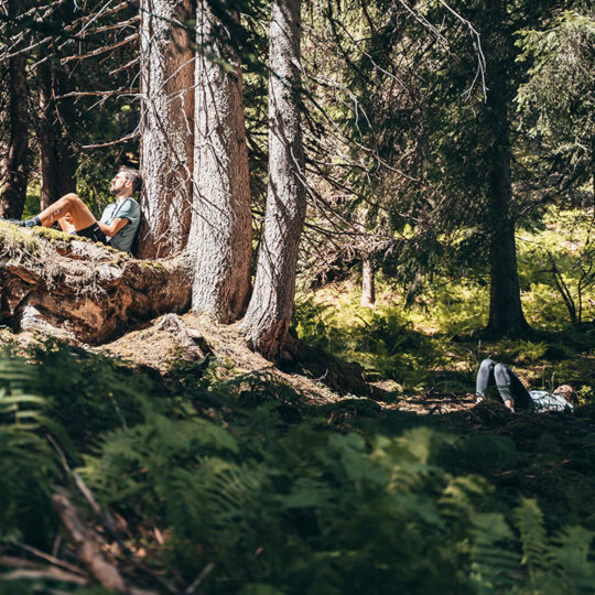 Zwei Menschen entspannen im Wald.