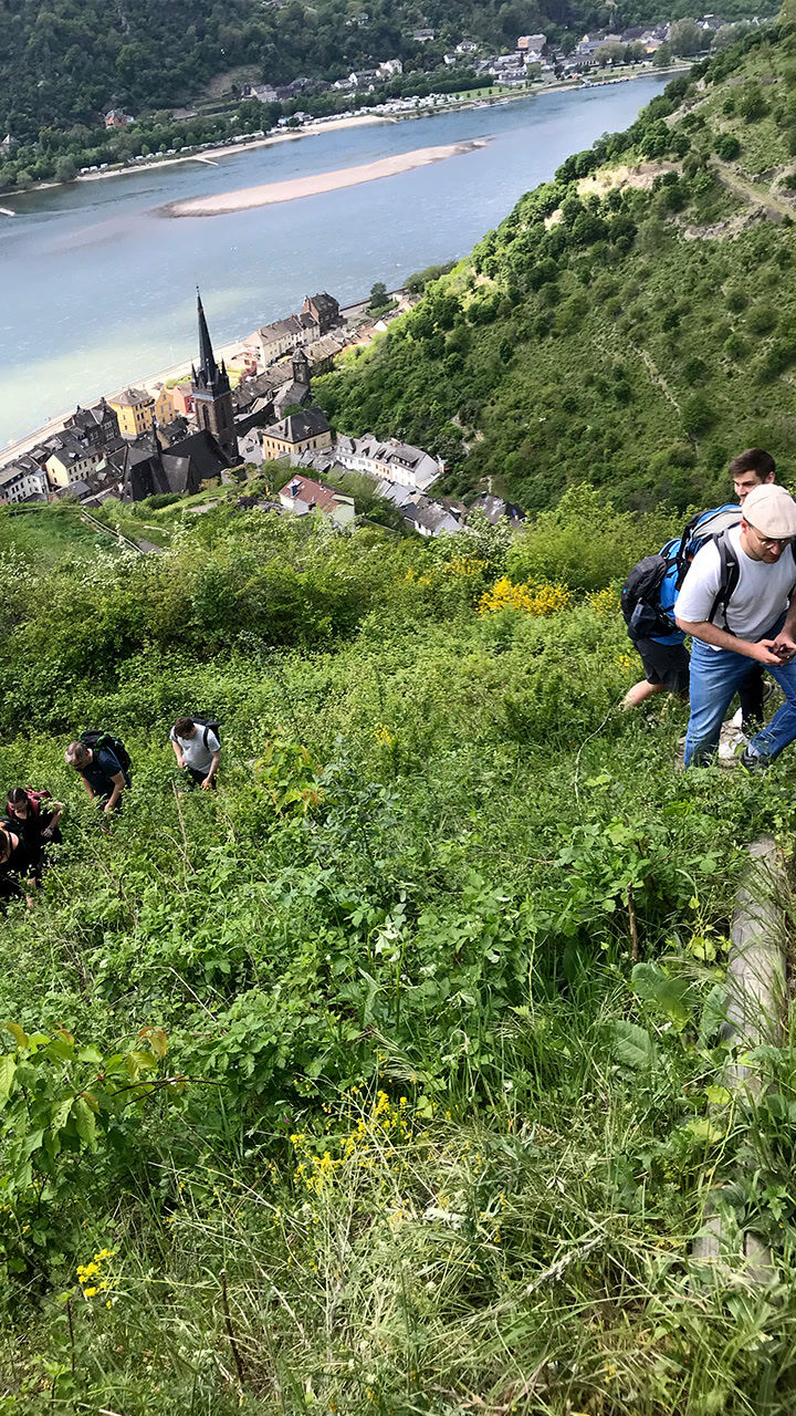 Eine Wandergruppe erklimmt einen Hang.